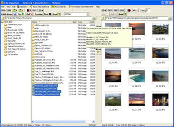 FileOrganiser screenshot