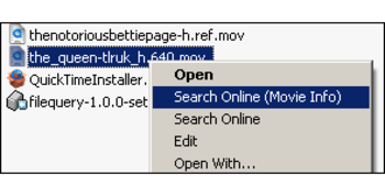 FileQuery screenshot
