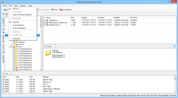 FileRescue Professional screenshot 3