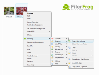 FilerFrog screenshot