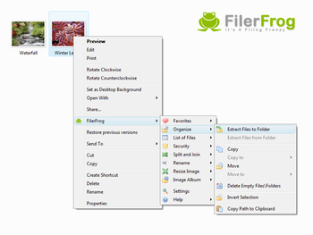FilerFrog screenshot 2