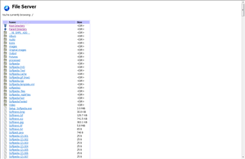 FileServer screenshot