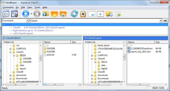 FilesWizard screenshot