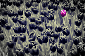 Fima Effects Pack screenshot 2