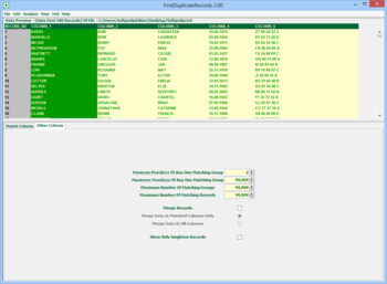 FindDuplicateRecords screenshot 2