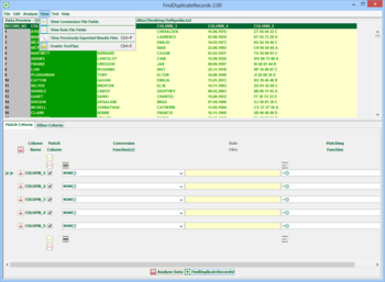 FindDuplicateRecords screenshot 6