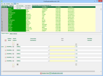FindDuplicateRecords screenshot 7