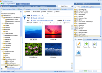 Firebird Explorer Standard Edition screenshot