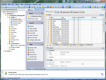 Firebird Maestro screenshot