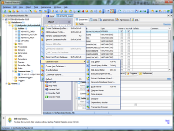Firebird Maestro screenshot 2