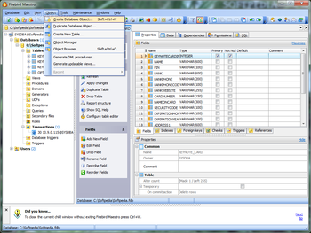 Firebird Maestro screenshot 4