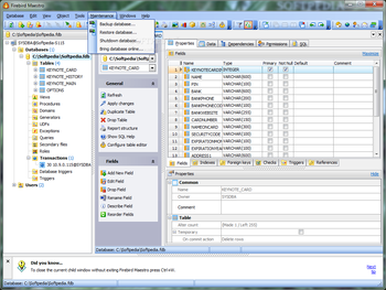 Firebird Maestro screenshot 6