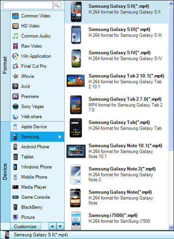 Firecoresoft SWF Converter screenshot 6
