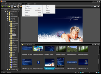 Firegraphic screenshot 5