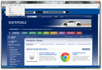 FireWeb screenshot 3