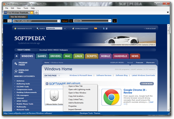 FireWeb screenshot 8