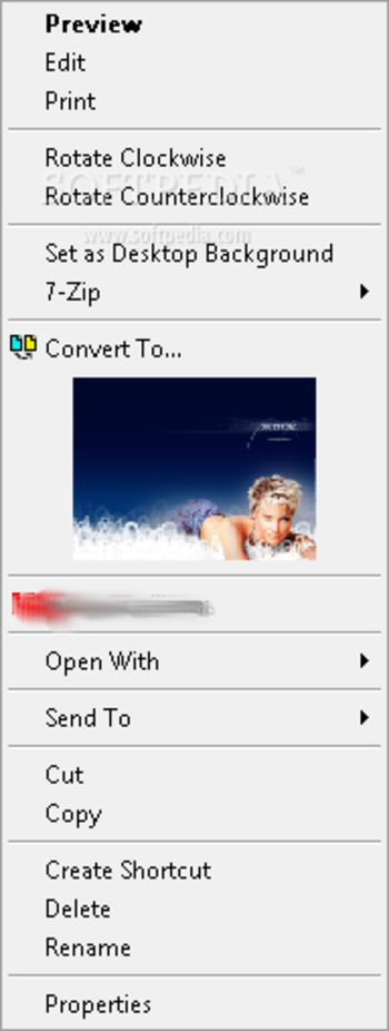 FirmTools ShellExtension screenshot