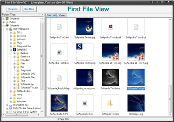 First File View screenshot