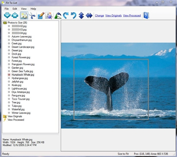 Fit To List: Crop, Resize, Watermark screenshot