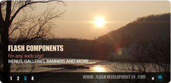 Flash Banner screenshot