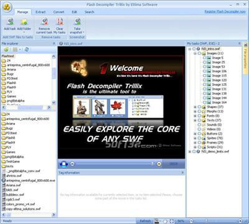 Flash Decompiler Trillix screenshot 3