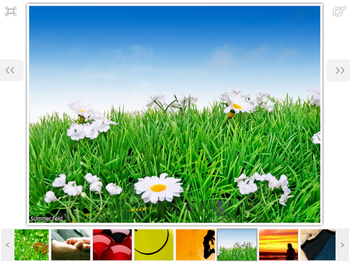 Flash Gallery screenshot