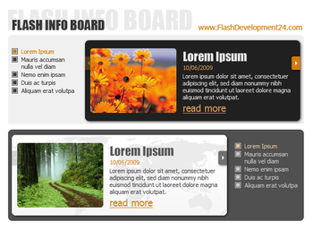 Flash Info Board screenshot