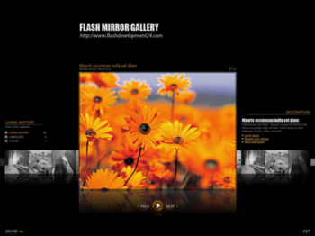 Flash Mirror Gallery screenshot