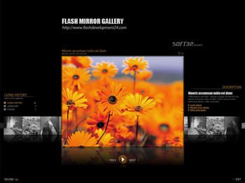 Flash Mirror Gallery screenshot 3