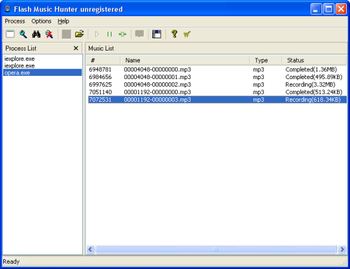 Flash Music Hunter screenshot