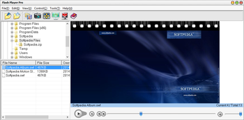 Flash Player Pro screenshot