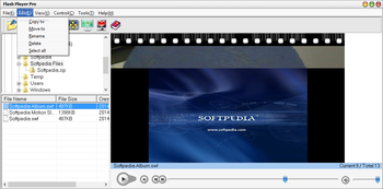Flash Player Pro screenshot 2