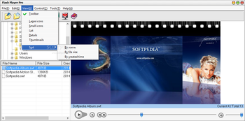 Flash Player Pro screenshot 3