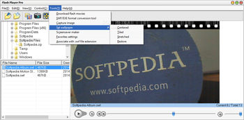 Flash Player Pro screenshot 5