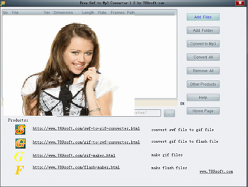 Flash To Mp3 Converter screenshot 2