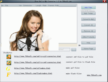 Flash To Mp3 Converter screenshot 3