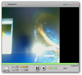 Flash Video Capture screenshot 4