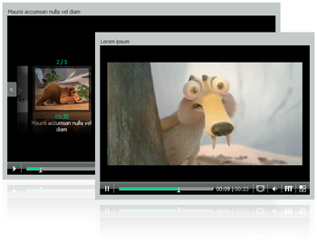 Flash Video (FLV) Player by FD24 screenshot