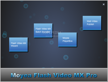 Flash Video MX Pro screenshot