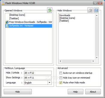 Flash Windows Hider screenshot
