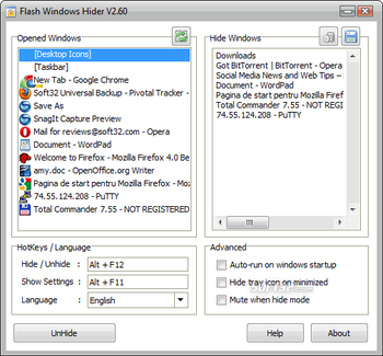 Flash Windows Hider screenshot