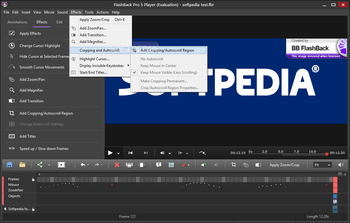 FlashBack Pro screenshot 12