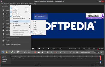 FlashBack Pro screenshot 9