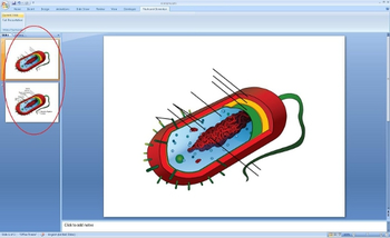 Flashcard Generator screenshot