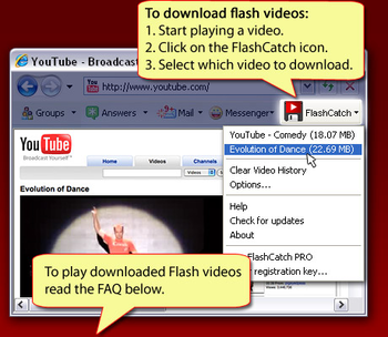 FlashCatch screenshot