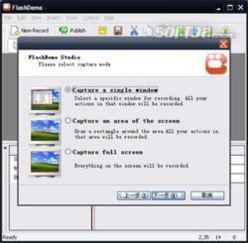 FlashDemo Screen Recorder screenshot 2