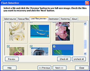 FlashDetective screenshot 2