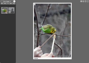 FlashGalleryGenerator Lite screenshot