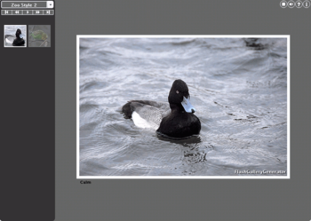 FlashGalleryGenerator Lite screenshot 2