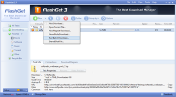 FlashGet screenshot 15